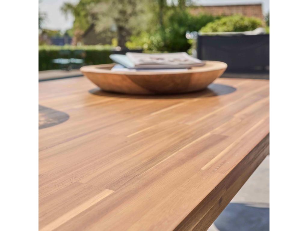 Dekonao and aluminium garden table with 10 chairs EIVX06315