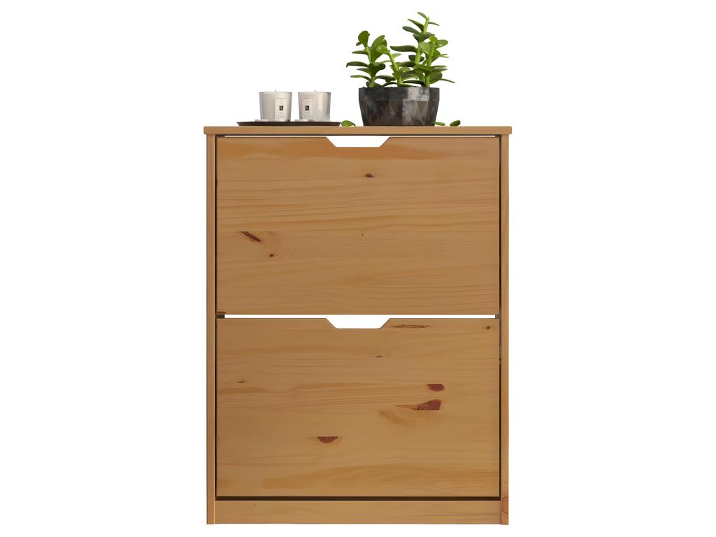 Mestre shoe cabinet with 2 honey-colored door slams. ZLNW21361